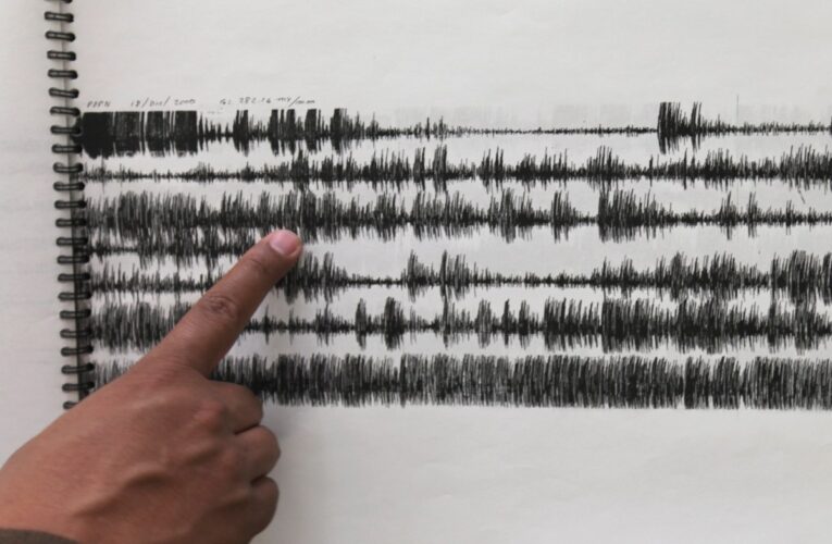 Las dimensiones del terremoto de la ciudad de Los Ángeles han sido sacudidas por 3.9