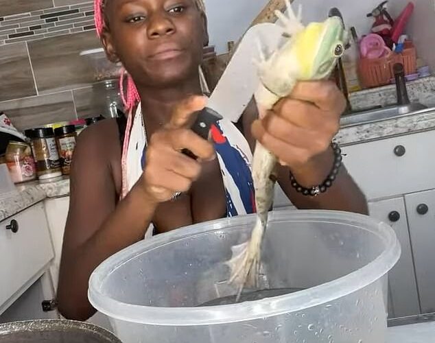 Se enfrentó a un largo castigo después de ser perseguido a los animales que estaban aterrorizados por las preferencias de las redes sociales.