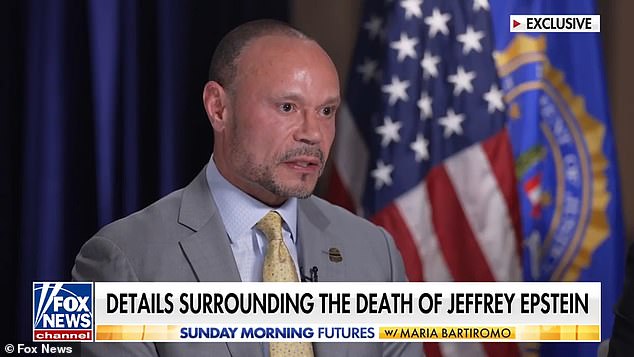 El subdirector del FBI, Dan Bangino Jeffrey, deja caer la bomba de Epstein que envía a Maga a los teóricos de la conspiración Wild Wild