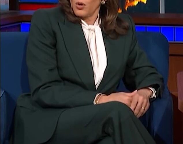 La frustrada Kamala Harris dice que no busca el puesto de presidente y que no le está culpando al “sistema roto” a volver a correr