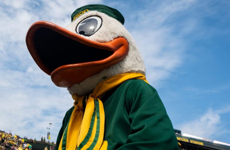 Oregon Duck Oklahoma State Cowboy vs. Open como un favorito abrumador