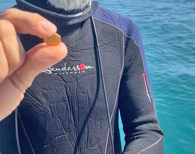 Los buzos se convierten en millones de noches después de las raras monedas de Florida Treasure Coast