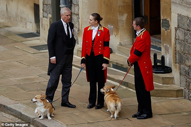 El corgi de la difunta reina, Andrew Mountbatten, permanecerá al cuidado de la familia Windsor, confirmó el Palacio de Buckingham.