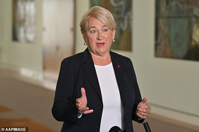 Los australianos podrían obtener el derecho legal a trabajar desde casa mientras los Verdes buscan reformar la Ley de Trabajo Justo