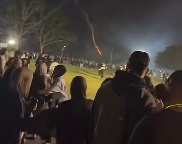 Los australianos gritan de terror cuando un petardo prende fuego a la multitud en Bright Park: dos heridos y cuatro arrestados