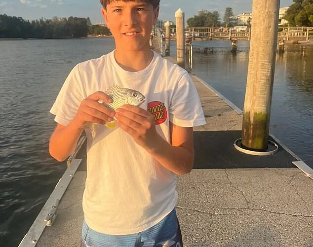 Actualización desgarradora sobre un niño mutilado por un tiburón