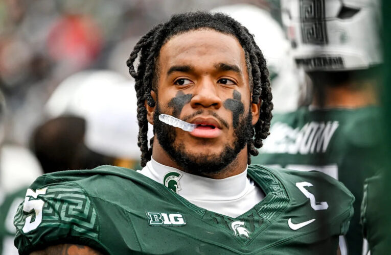 Proyección de la lista previa al portal del estado de Michigan: apoyador